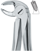 Tooth Ext Forceps